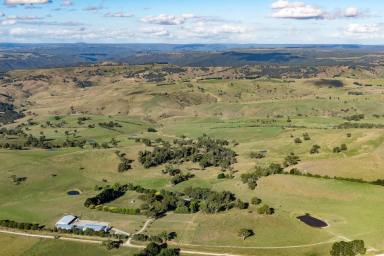 Farm Sold - NSW - Golspie - 2580 - Eastleigh - Sheep - Prime Lambs - Cattle  (Image 2)