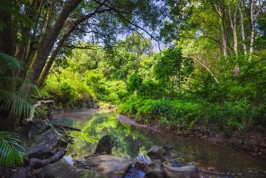 Farm Sold - QLD - Mooloolah Valley - 4553 - Your Own Private 42 acres of Utopia in Magical Mooloolah!  (Image 2)