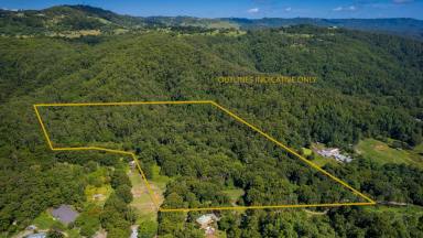 Farm Sold - QLD - Mooloolah Valley - 4553 - Your Own Private 42 acres of Utopia in Magical Mooloolah!  (Image 2)