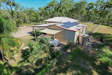 Farm For Sale - QLD - Mount Chalmers - 4702 - Lifestyle Opportunity/ Its all done!  (Image 2)