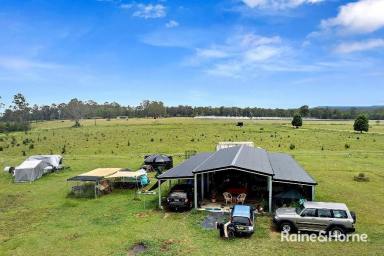Farm Sold - NSW - Glenreagh - 2450 - ORARA RIVER FRONTAGE WITH VIEWS OF THE ESCARPMENT  (Image 2)