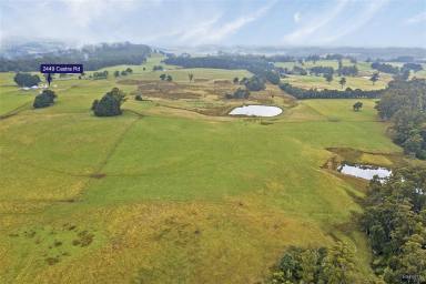 Farm Sold - TAS - Upper Castra - 7315 - 265 Acres + 2 Houses + 5 Titles  (Image 2)