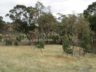 Farm For Sale - VIC - Heathcote South - 3523 - Mountain Creek, Heathcote South.  (Image 2)