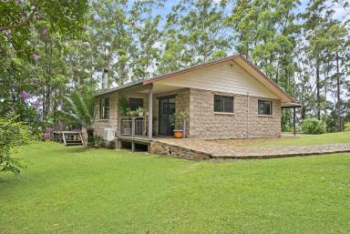 Farm Sold - NSW - Johns River - 2443 - 61 Acres of Lifestyle Rural  (Image 2)