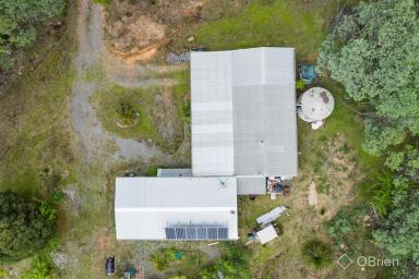 Farm Sold - VIC - Tolmie - 3723 - A perfect piece of paradise.  (Image 2)