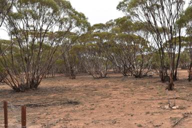 Farm Sold - SA - Brownlow - 5374 - FARMING & RECREATION COMBINED  (Image 2)