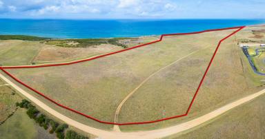 Farm Sold - VIC - Allansford - 3277 - OUTSTANDING & ABSOLUTE OCEAN FRONTAGE  (Image 2)