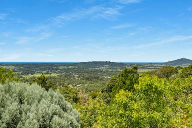 Farm Sold - NSW - Berry - 2535 - A Family Sanctuary with a Breathtaking Panorama  (Image 2)