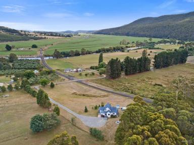 Farm Sold - TAS - Kimberley - 7304 - Relaxed lifestyle living  (Image 2)