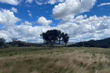 Farm Sold - NSW - Mudgee - 2850 - THE ULTIMATE RECREATION BLOCK  (Image 2)