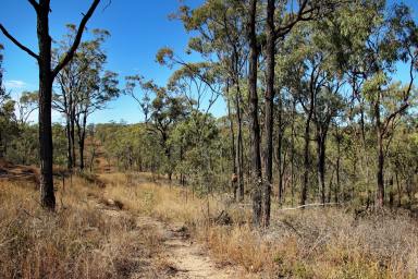 Farm Sold - QLD - Nine Mile Creek - 4714 - Cattle Country Close to Rockhampton  (Image 2)