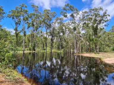 Farm Sold - QLD - Baffle Creek - 4674 - 171 ACRES (69.53HA) WITH A WELL SETUP WEEKENDER CABIN  (Image 2)