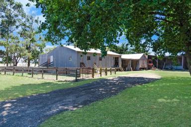 Farm Sold - VIC - Knebsworth - 3286 - DROUGHT PROOF!  (Image 2)
