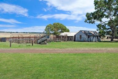 Farm Sold - VIC - Knebsworth - 3286 - DROUGHT PROOF!  (Image 2)