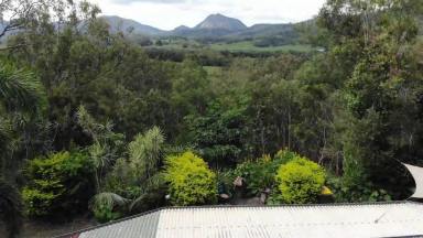 Farm For Sale - QLD - Kuttabul - 4741 - V.I.P. Clients keen to sell please call 07 4242 5901  (Image 2)