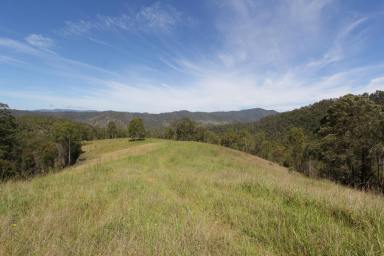 Farm For Sale - NSW - Cooplacurripa - 2424 - 'SPRING CREEK' BROAD ACRES AND LONG RIVER FRONTAGE  (Image 2)