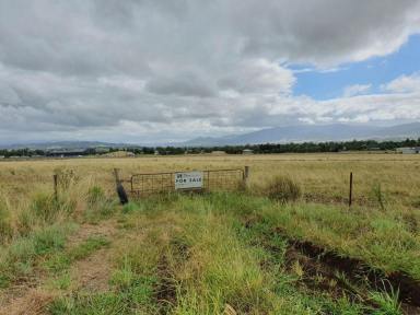 Farm Sold - NSW - Scone - 2337 - LAND DEVELOPMENT WITH CC APPROVAL IN POPULAR SCONE ESTATE (SALE BY EOI)  (Image 2)