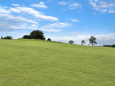 Farm Sold - NSW - Kyogle - 2474 - VACANT LAND ON THE EDGE OF TOWN  (Image 2)