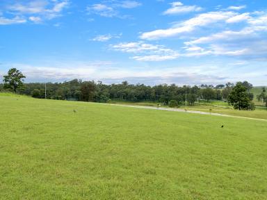 Farm Sold - NSW - Kyogle - 2474 - VACANT LAND ON THE EDGE OF TOWN  (Image 2)