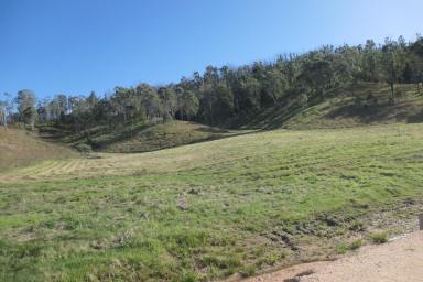 Farm Sold - NSW - Rocky River - 2372 - THE PERFECT PARCEL  (Image 2)