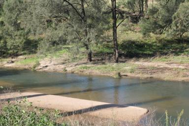 Farm Sold - NSW - Rocky River - 2372 - THE PERFECT PARCEL  (Image 2)
