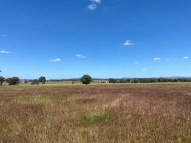 Farm Sold - NSW - Mudgee - 2850 - BUILD ON YOUR DREAM LIFESTYLE BLOCK  (Image 2)