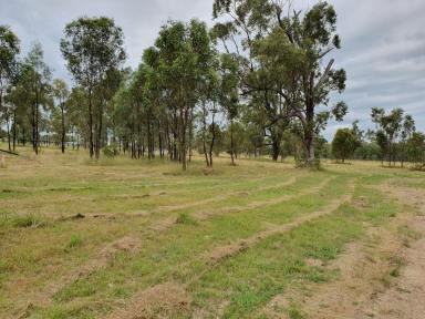Farm Sold - NSW - Muswellbrook - 2333 - PREMIER RURAL RESIDENTIAL ACREAGE LOT READY TO BUILD AN SET AS 5,434 SQM ALL FULLY SERVICED  (Image 2)