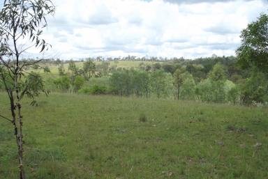 Farm For Sale - QLD - Dallarnil - 4621 - 424 ACRES OF UNDULATING GRAZING COUNTRY  (Image 2)