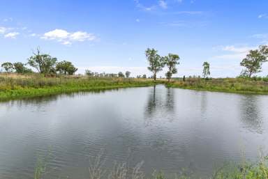 Farm Sold - NSW - Tamworth - 2340 - 'Camden Park' | 25 Acres of Opportunity  (Image 2)