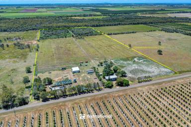 Farm Sold - QLD - Alloway - 4670 - COUNTRY LIVING, CITY CONVENIENCES!  (Image 2)