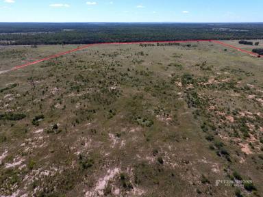 Farm For Sale - QLD - Chinchilla - 4413 - AFFORDABLE 320 ACRE STARTER BLOCK FOR GRAZING. EXCELLENT LIFESTYLE COUNTRY LIVING OFF THE GRID.  (Image 2)