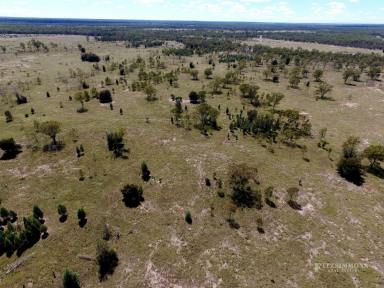 Farm For Sale - QLD - Chinchilla - 4413 - AFFORDABLE 320 ACRE STARTER BLOCK FOR GRAZING. EXCELLENT LIFESTYLE COUNTRY LIVING OFF THE GRID.  (Image 2)