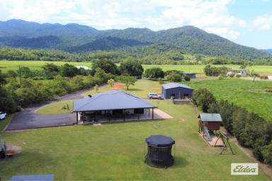Farm For Sale - QLD - Bulgun - 4854 - Executive home on manicured acreage  (Image 2)