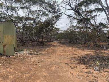 Farm Sold - SA - Bowhill - 5238 - Secure Your Own Slice of Secluded Scrub Land  (Image 2)