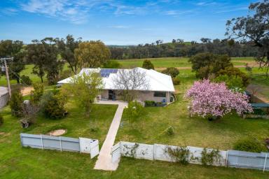 Farm Sold - NSW - Cowra - 2794 - Price Guide $4,600 - $5,000 per acre  (Image 2)
