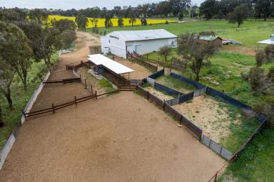 Farm Sold - NSW - Cowra - 2794 - Price Guide $4,600 - $5,000 per acre  (Image 2)