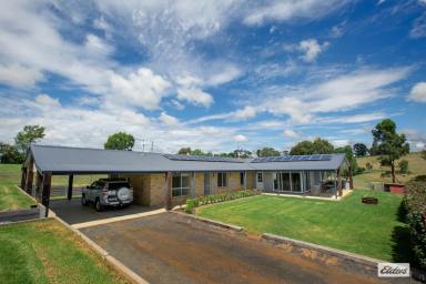Farm Sold - NSW - Candelo - 2550 - BRILLIANT, LARGE FAMILY HOME ON BEAUTIFUL ACRES  (Image 2)