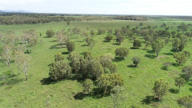 Farm Sold - QLD - Giru - 4809 - Mundurin Coastal grazing and farming operation  (Image 2)