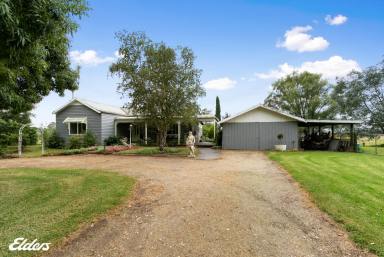 Farm For Sale - VIC - Stratford - 3862 - CHARACTER HOME + 20 ACRES  (Image 2)