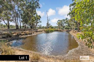 Farm Sold - VIC - East Bendigo - 3550 - Seclusion in Suburbia!  (Image 2)