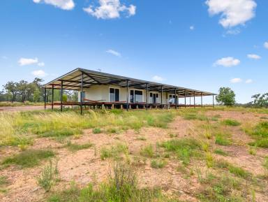 Farm For Sale - NSW - Cobbora - 2844 - Your Very Own Slice of the Australian Bush Scape on 1113-acres  (Image 2)