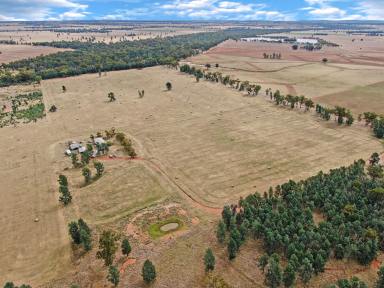 Farm Sold - NSW - Ariah Park - 2665 - OFF THE GRID TREE CHANGE OPPORTUNITY OR SMALL LIVESTOCK ENTERPRISE  (Image 2)