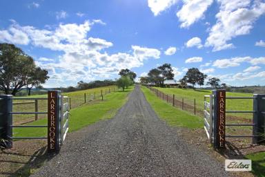 Farm Sold - VIC - Sutton Grange - 3448 - "LARSBROOKE" - OUTSTANDING RURAL LIFESTYLE / GRAZING PROPERTY - 100 Acres  (Image 2)