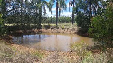 Farm For Sale - QLD - Blackbutt - 4314 - 3.7 ACRES WITH SPORTS AND RECREATION CENTRE  (Image 2)