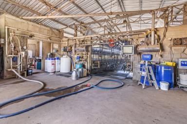 Farm Sold - VIC - Gorae West - 3305 - A Dairy With The Lot  (Image 2)