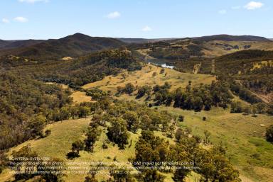 Farm Sold - NSW - Rydal - 2790 - The Lease 160.9Ha - 397.5 Acres*  (Image 2)