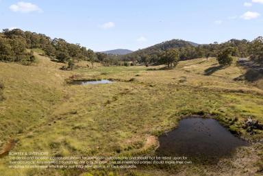 Farm Sold - NSW - Rydal - 2790 - The Lease 160.9Ha - 397.5 Acres*  (Image 2)