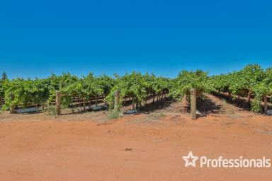 Farm For Sale - VIC - Merbein - 3505 - Fresh Fruit Property On The Fringe Of Town  (Image 2)