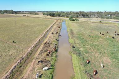 Farm Sold - NSW - Tocumwal - 2714 - HIGH DEMAND, LOW SUPPLY.  RARE OPPORTUNITY TO PURCHASE MUCH SOUGHT AFTER LAND.  (Image 2)