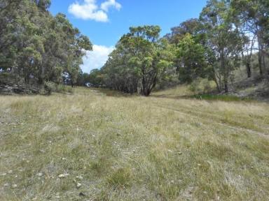 Farm Sold - NSW - Emmaville - 2371 - Great location  (Image 2)
